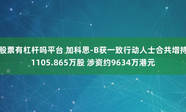 股票有杠杆吗平台 加科思-B获一致行动人士合共增持1105.865万股 涉资约9634万港元