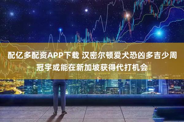 配亿多配资APP下载 汉密尔顿爱犬恐凶多吉少周冠宇或能在新加坡获得代打机会