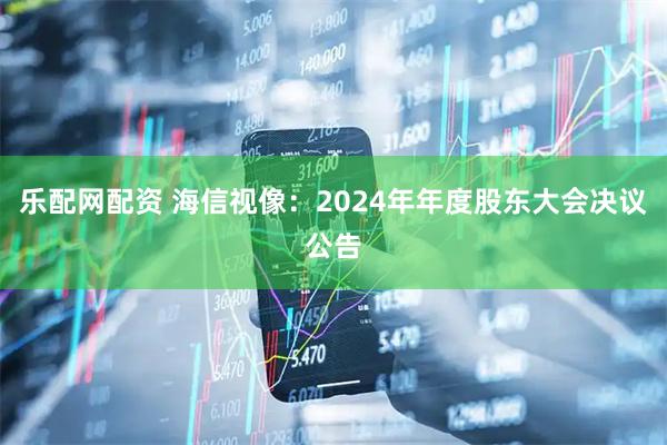 乐配网配资 海信视像：2024年年度股东大会决议公告
