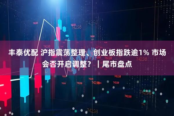 丰泰优配 沪指震荡整理、创业板指跌逾1% 市场会否开启调整？｜尾市盘点