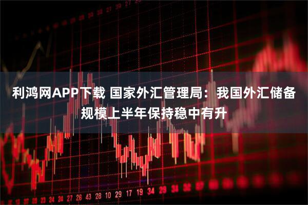 利鸿网APP下载 国家外汇管理局：我国外汇储备规模上半年保持稳中有升