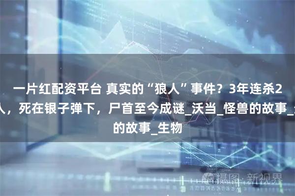 一片红配资平台 真实的“狼人”事件？3年连杀200人，死在银子弹下，尸首至今成谜_沃当_怪兽的故事_生物